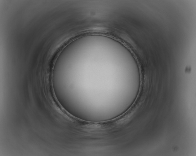 X0000093561450200710150947