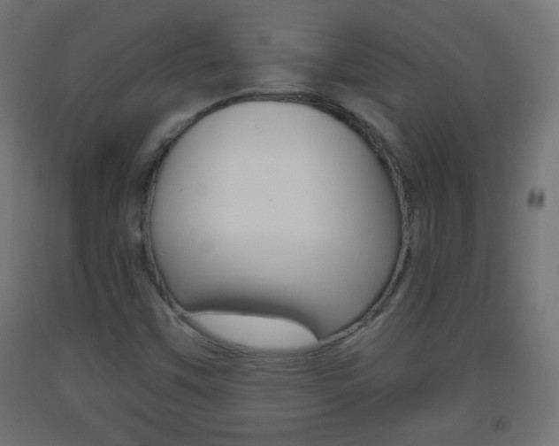 X0000093561451200710150947
