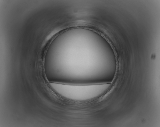 X0000093561453200710150947