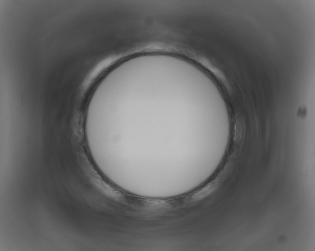 X0000093561454200710150947