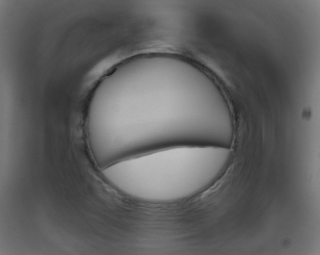 X0000093561455200710150947