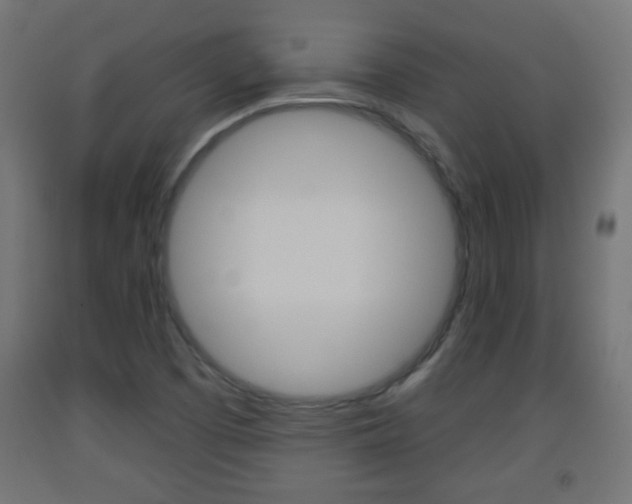 X0000093561457200710150947