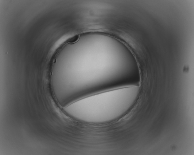 X0000093561458200710150947