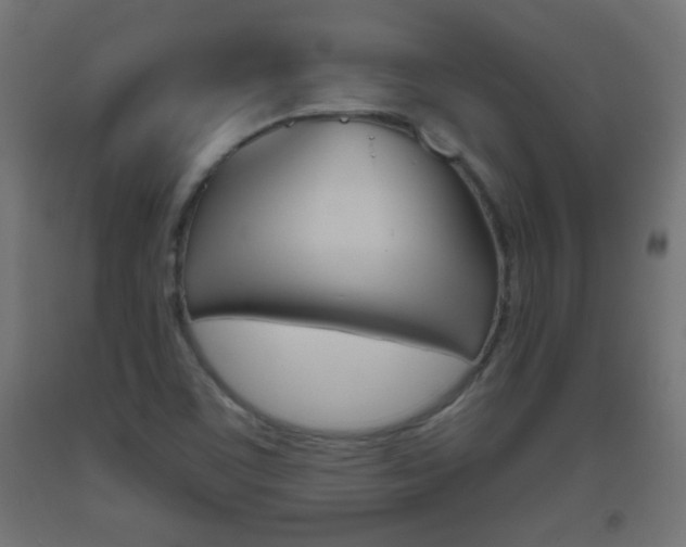 X0000093561459200710150947