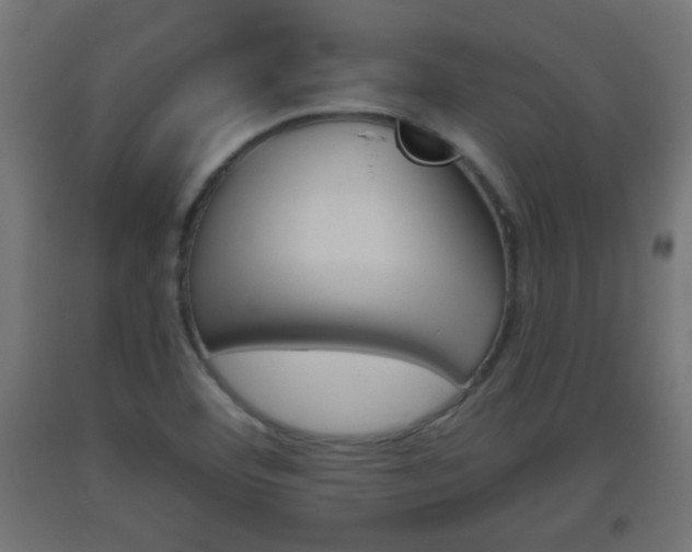 X0000093561460200710150947