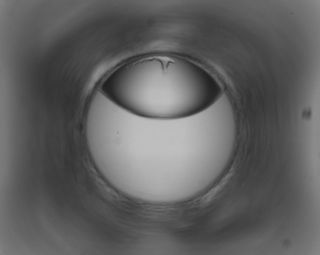 X0000093561461200710150947