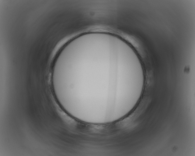 X0000093561462200710150946
