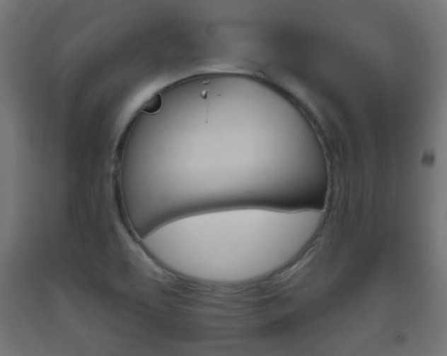 X0000093561463200710150946