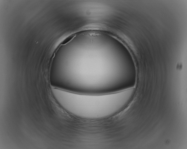 X0000093561465200710150946