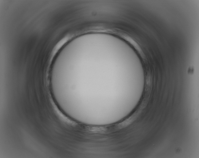 X0000093561466200710150946