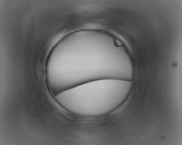 X0000093561467200710150946