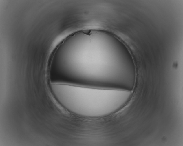 X0000093561469200710150946