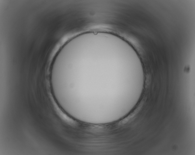 X0000093561470200710150946