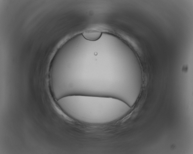 X0000093561471200710150946