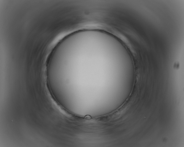 X0000093561472200710150946