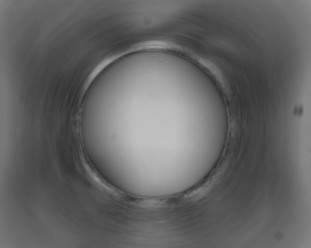 X0000093561473200710150946