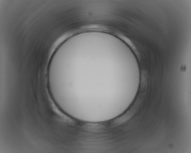 X0000093561474200710150946