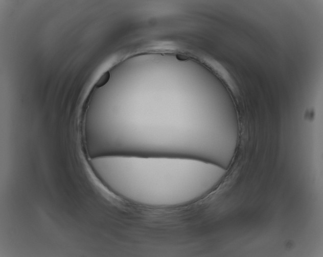 X0000093561475200710150946