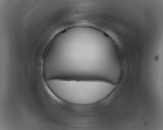 X0000093561476200710150946