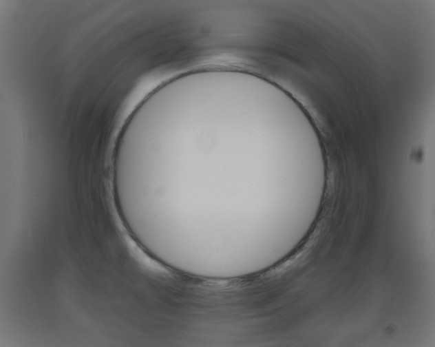 X0000093561478200710150946