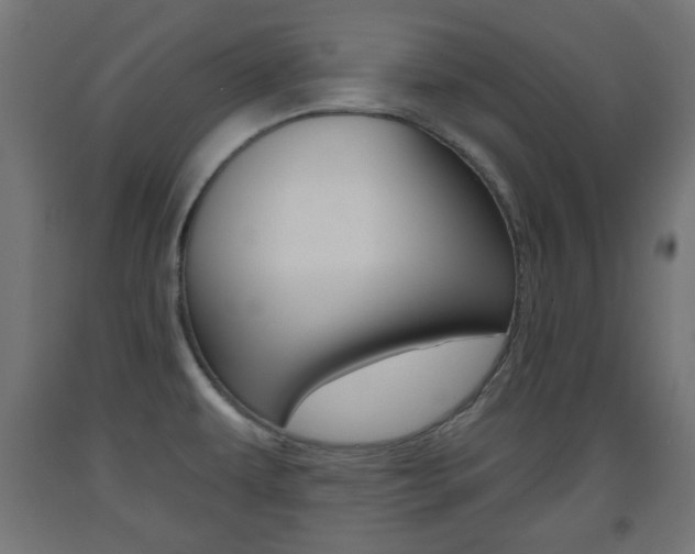 X0000093561479200710150946