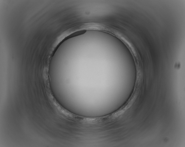 X0000093561481200710150946