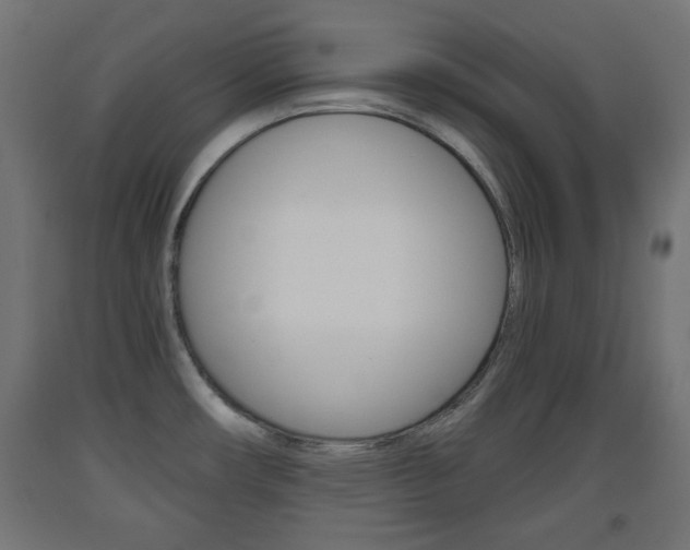 X0000093561482200710150946