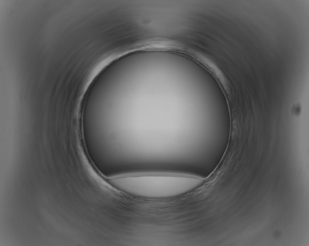X0000093561483200710150946