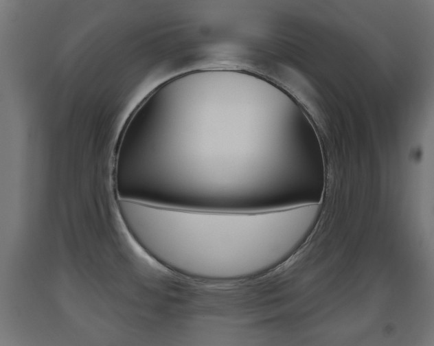 X0000093561484200710150946