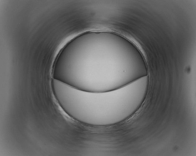 X0000093561485200710150946
