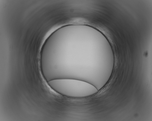 X0000093561486200710150946