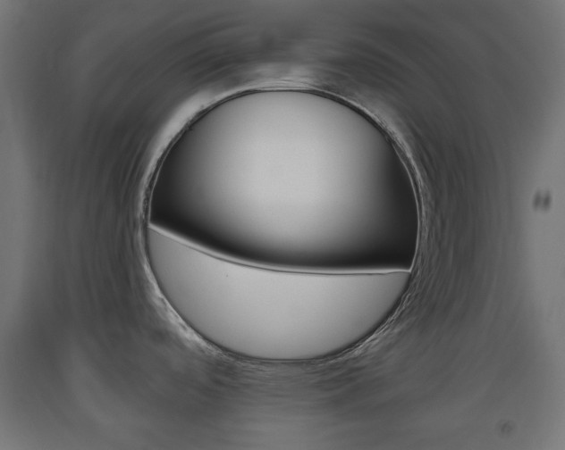 X0000093561488200710150946
