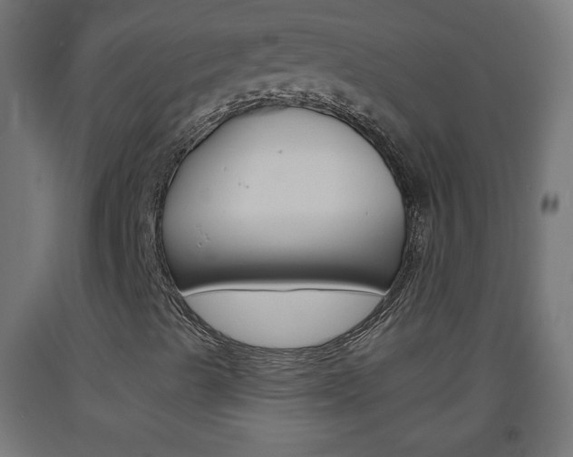 X0000093561489200710150946