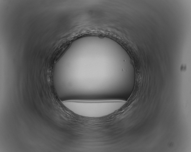 X0000093561490200710150946