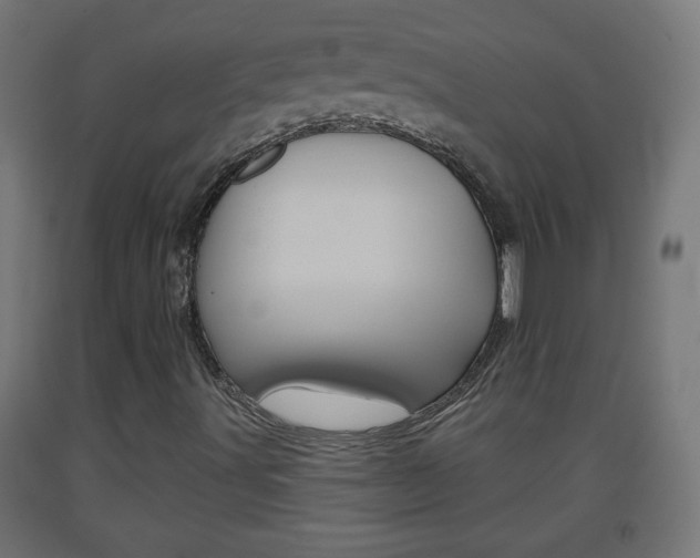 X0000093561491200710150946
