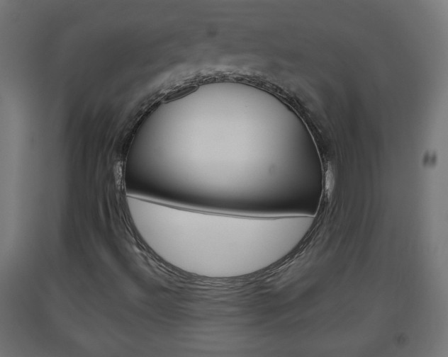 X0000093561492200710150946