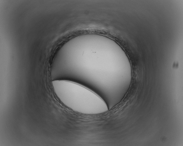 X0000093561493200710150946