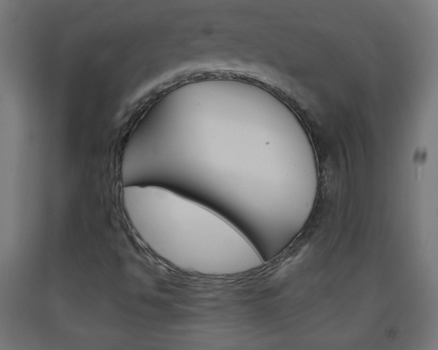 X0000093561494200710150946