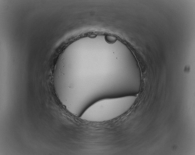 X0000093561495200710150946