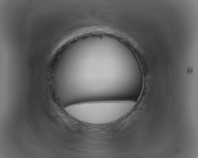 X0000093561496200710150946