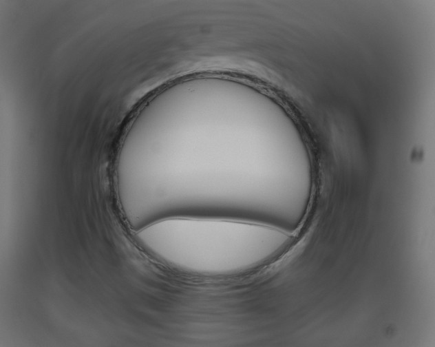 X0000093561497200710150946