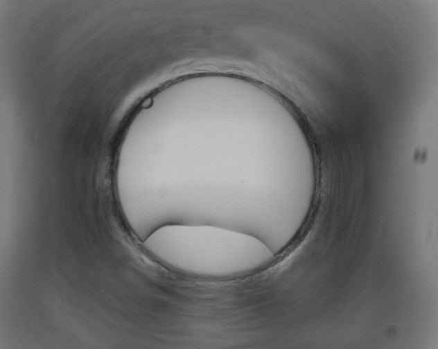 X0000093561498200710150946