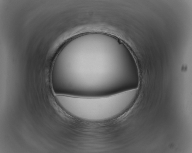 X0000093561499200710150946