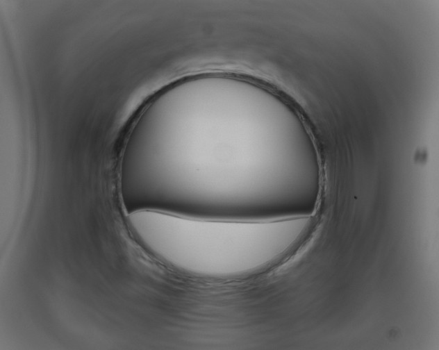 X0000093561501200710150946