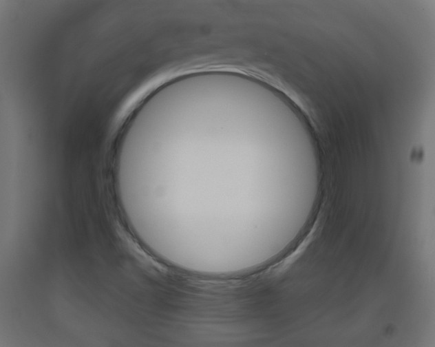 X0000093561502200710150946