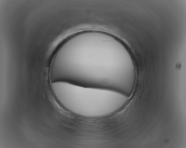 X0000093561503200710150946