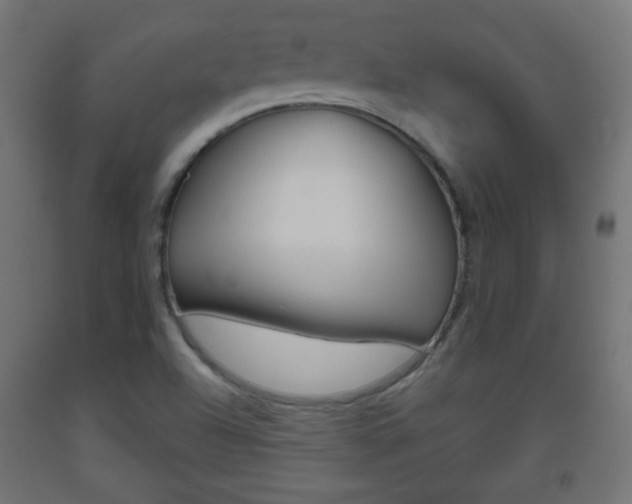 X0000093561504200710150946