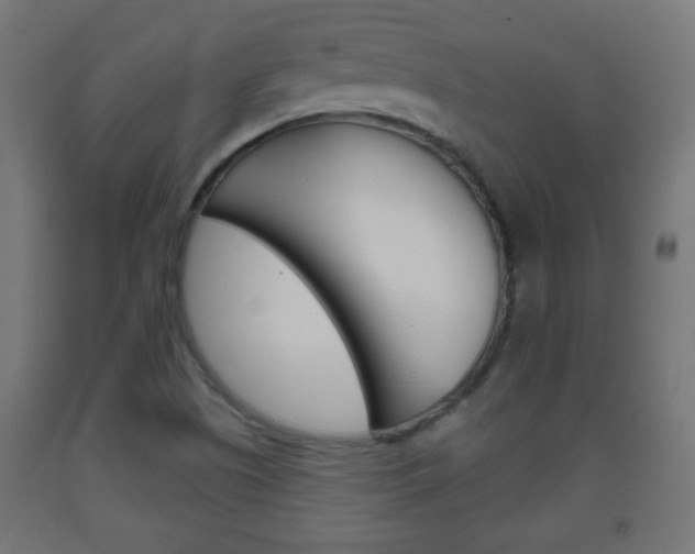 X0000093561505200710150946