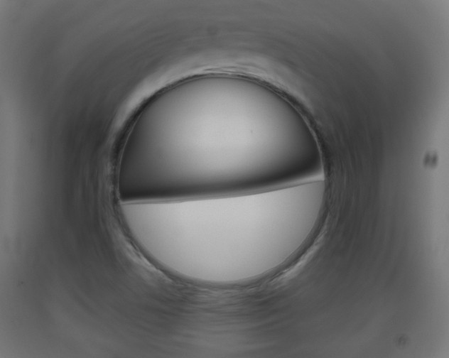 X0000093561506200710150946