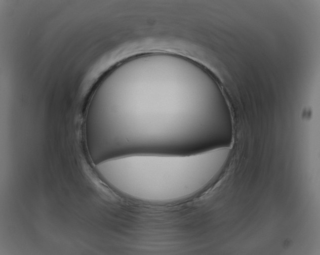 X0000093561507200710150946